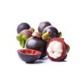 Mangosteen Extract Fine Powder