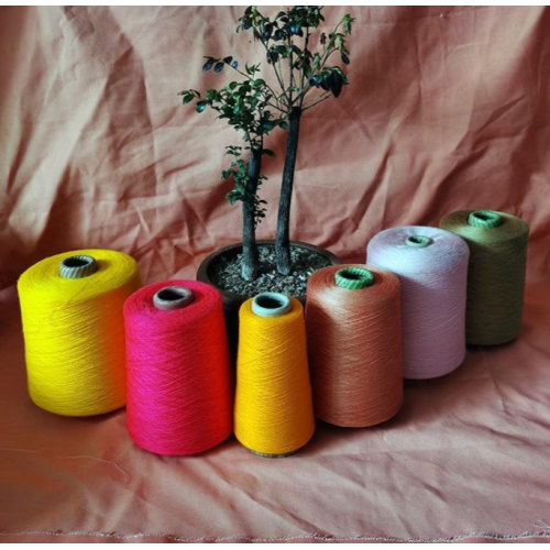 OE dun cudbi ah oo la caasiyeeyay