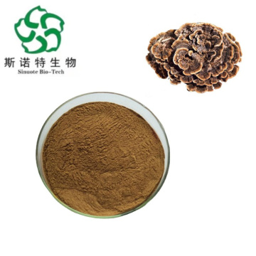 Premium Turkey Tail Mushroom Extract for Immune Support and Wellness