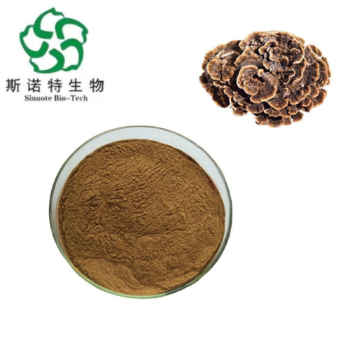 Premium Turkey Tail Mushroom Extract for Immune Support and Wellness