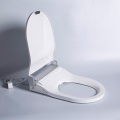 inground spa pool Sanitary Ware Gold Wall Hung Toilet Supplier