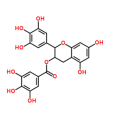 Green Tea Extract green tea polyphenols