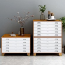 File Cabinet With Multiple Drawers