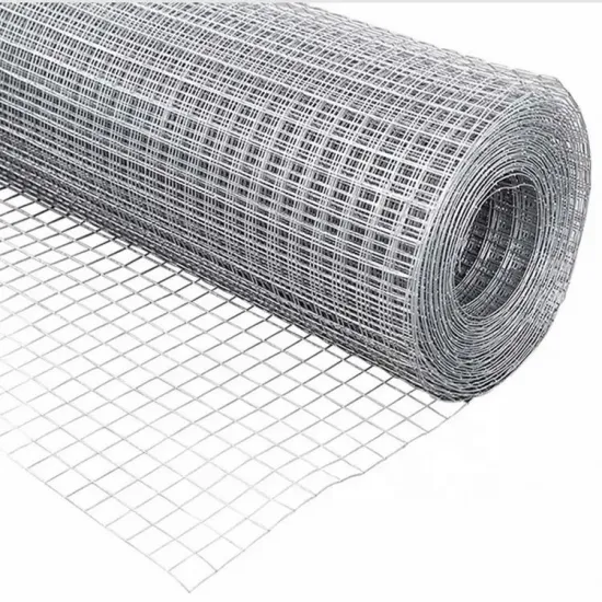16 Gauge 1 X 1/2 Inch Galvanized Welded Wire Mesh Roll for Animal Husbandry