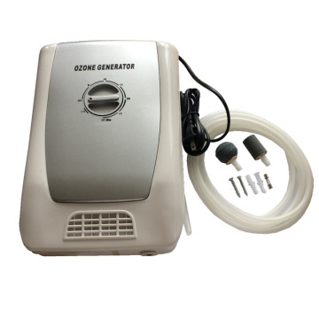 Mini Household 110v Ozone Generator AIr /Water Purifier 200mg/h