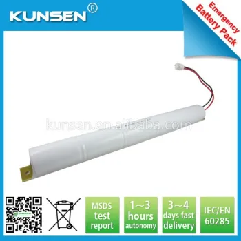 New products! High quality ni-cd 6V 4000mah battery pack