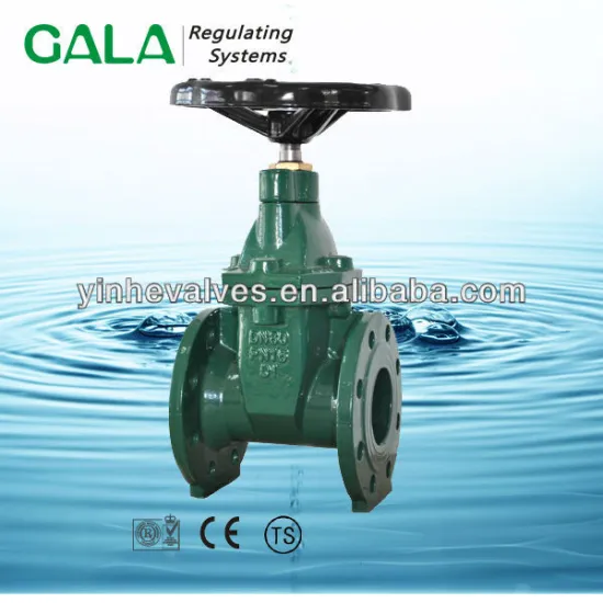 BS5163 gate valve