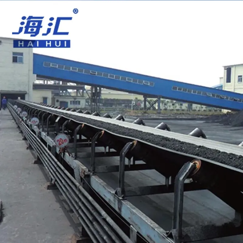 Custom Gravity Bulk Handling Belt Conveyor for Processing Plants Mineral Transport

**Title:** "Custom Gravity Belt Conveyors for Mineral Processing and Bulk Handling