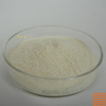 Extracto de fruta monje Mogroside V20%