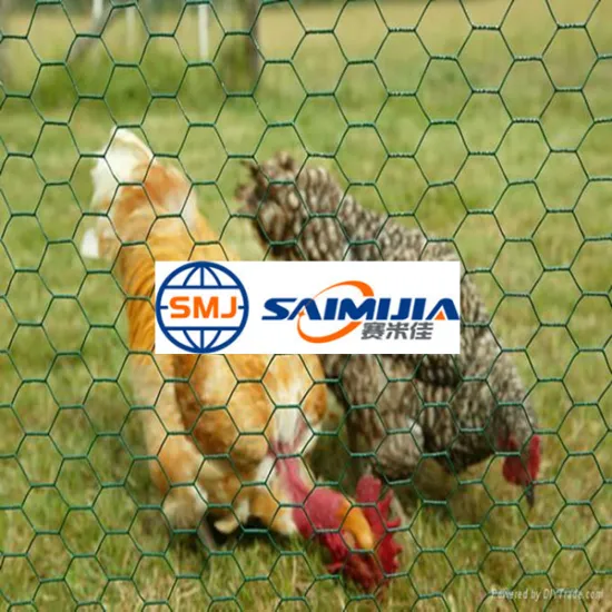 Agriculture hexagonal chicken wire mesh netting
