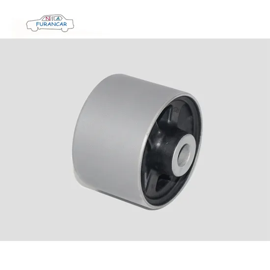 OEM 545010010R 545000008R 54560-1952R Suspension Control Arm Bushing for RENAULT