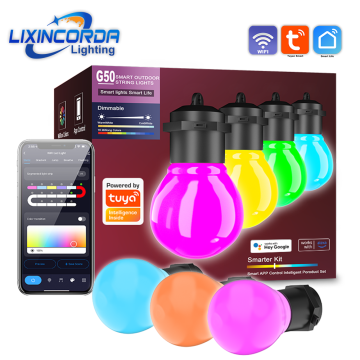 RGBIC Smart LED Ball Garland Fairy String Lights - Bluetooth Multi-Color Waterproof Outdoor Decor