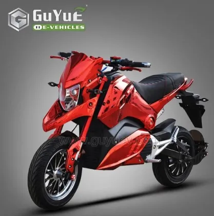 Adult Racing Electric Motorcycle