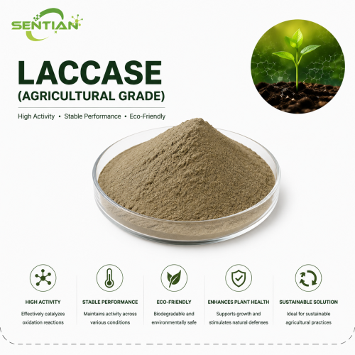 Laccase Enzyme for Lignin Degradation & Phenol Oxidation