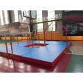 Mini Gym Equipment for Children - Parallel Bars