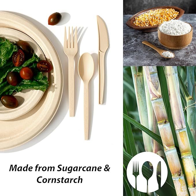 ALPIO 250 Piece Compostable Dinnerware Set