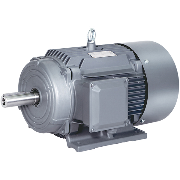 BEIDE15KW 1TL0001 Cast Iron Three-phase Asynchronous Motor