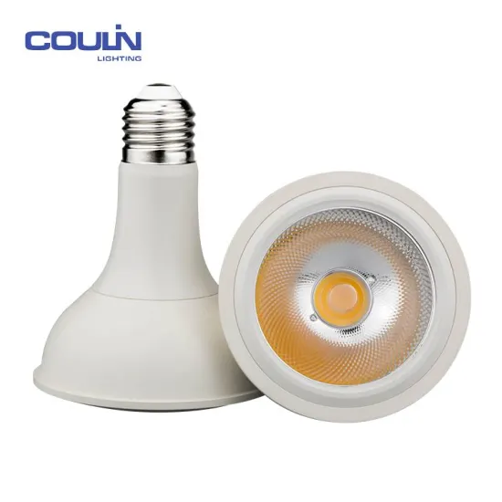 Total Quality control 2000 Lumen Led Bulb