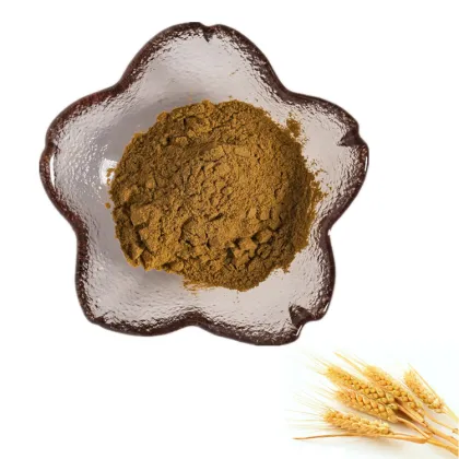 10:1 barley malt extract powder