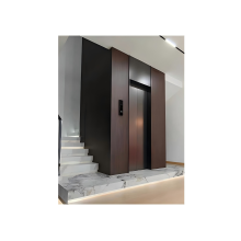 Brick concrete shaft residential elevator
