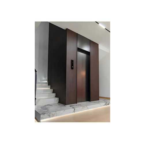 Ascenseur de maison à route mixte en brique