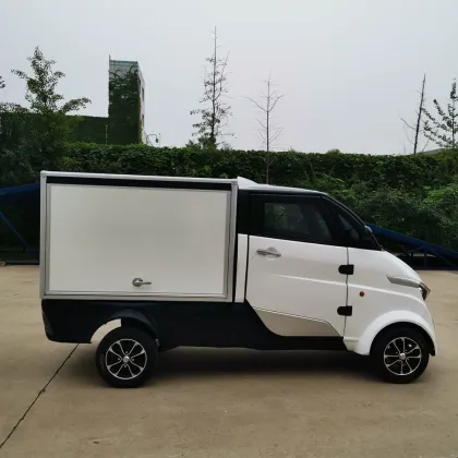 Mini Electric Delivery Van for Flower Delivery