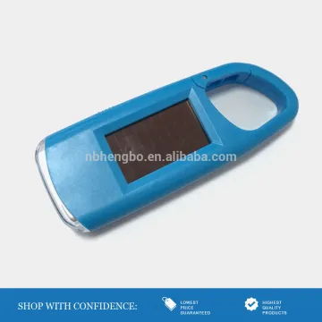 super bright 2 led promotion solar lights key chains