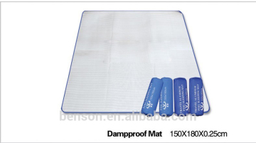 The picnic mat