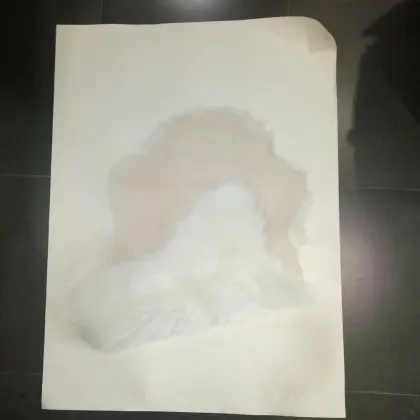 Faux Fur Rug Lamb Skin Area Rug for Room Carpets