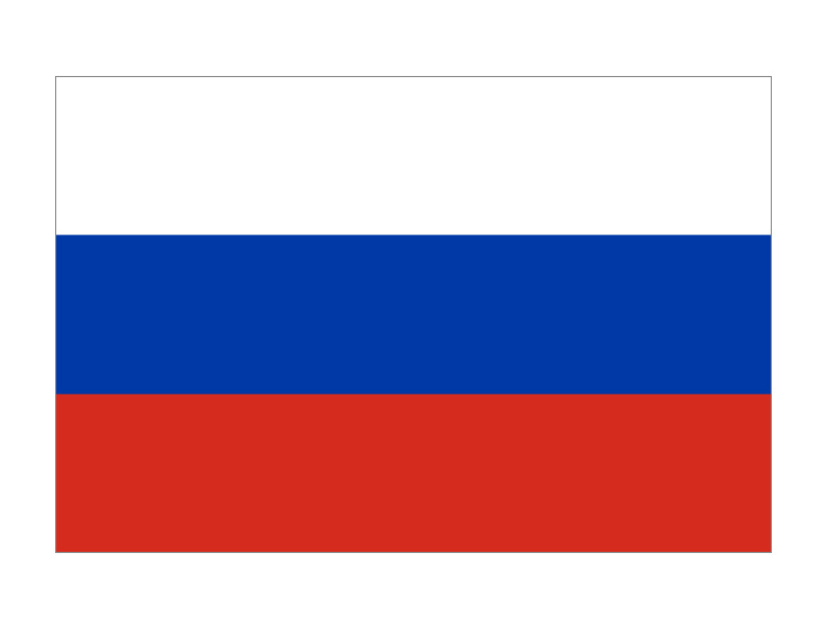 Ryssland Importera tulldata Köparlista