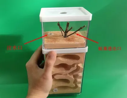 Ant Farm Tank: Educational Formicarium Ant House Nest