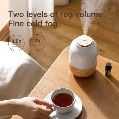 Asiamist Fogger Unique Design Ultrasonic Essential Oil Aroma Diffuser