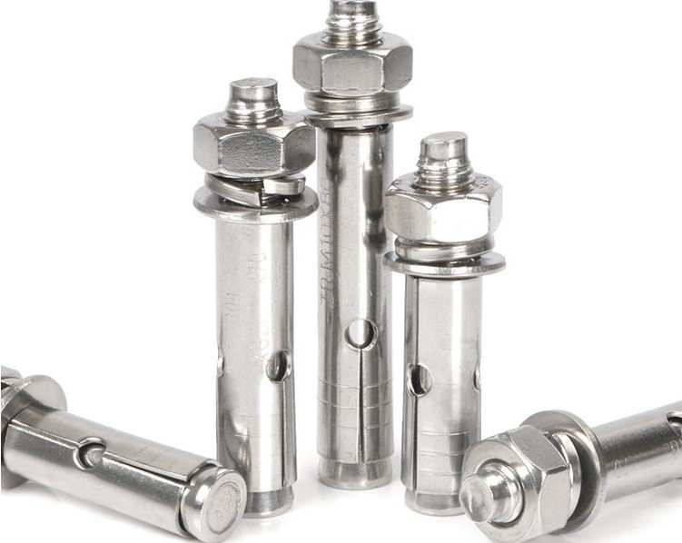 Tornillos de anclaje de acero inoxidable SS bajo precio