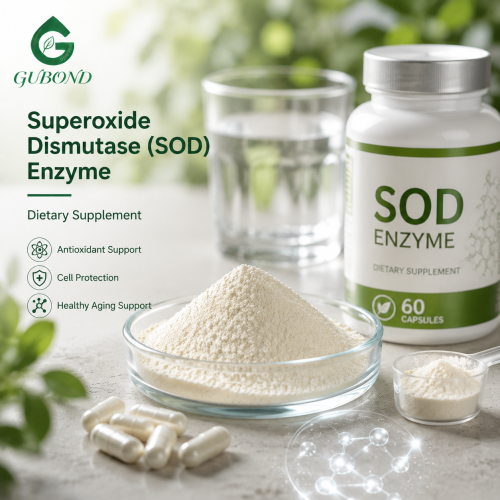 Polvo de enzima superóxido dismutasa (SOD) para formulaciones alimentarias y nutricionales