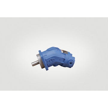 Hydraulic Piston Motor Quantitative Motors