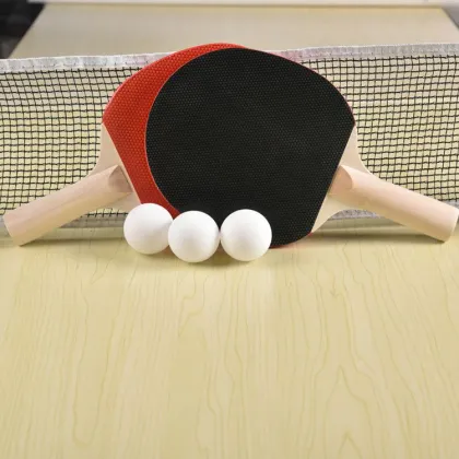Table Tennis Paddle and Retractable Net Set