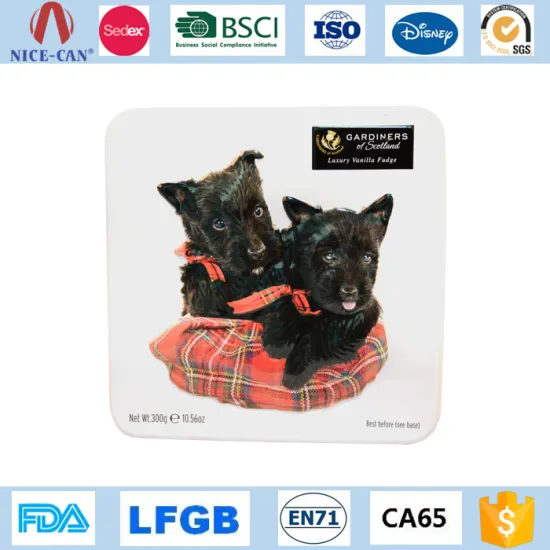 Rectangular Tin With White Lacquer Cute Dog Snacks Metal Container