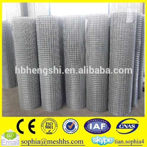 square hole welded wire mesh