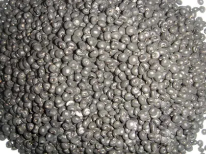 Asparagus Seed Germination/Planting Asparagus Plants Seeds/Purple Asparagus Crowns Seeds