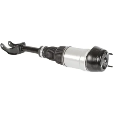 Front Air Suspension Struts for Mercedes W166 ML GL 1663202513 1663202613 Air Shock Absorber