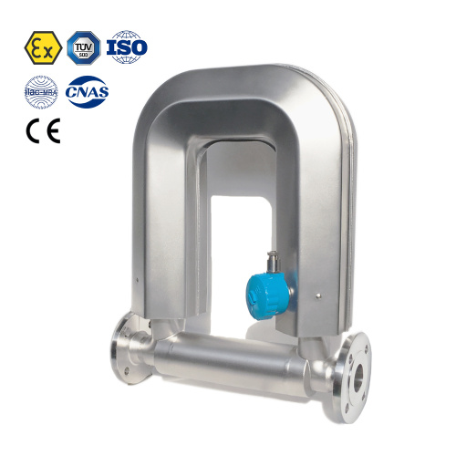 DN50 Coriolis Mass Mass Flowmètre