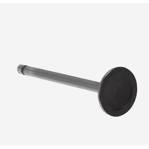 Cummins Engine Exhaust Valve