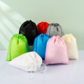 Multicolor Non Woven Shoe Dust Storage Bags