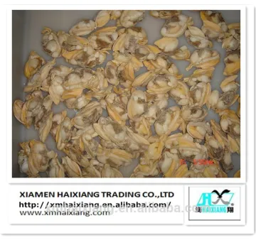 Frozen short-necked clam supplier