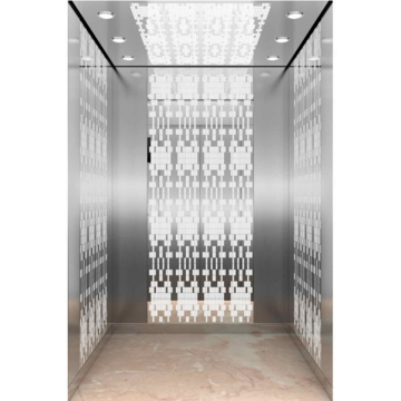 IFE Passenger Elevators