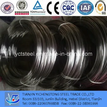 Hot Dipped Galvanized Steel Wire Factory Support