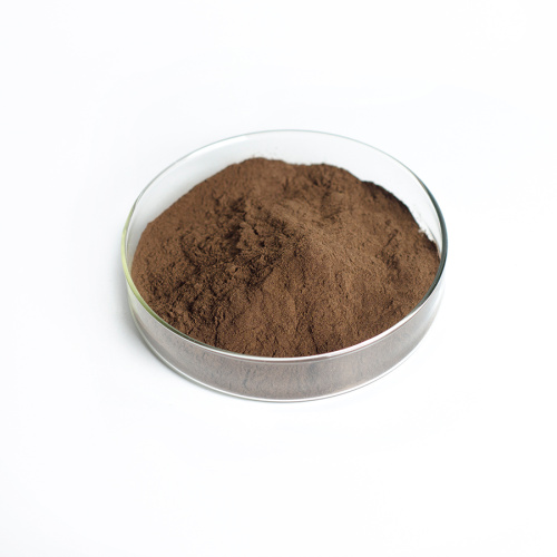 Chaga Mushroom Extract Powder Chaga Mushroom Extract Powder Kilo Supplier