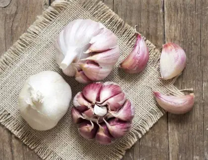 Farm Direct Supply Fresh Vegetable New Garlic