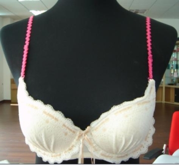 bra belt