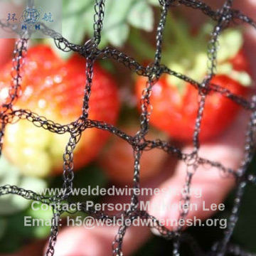 4m Wide Anti Bird Nettng